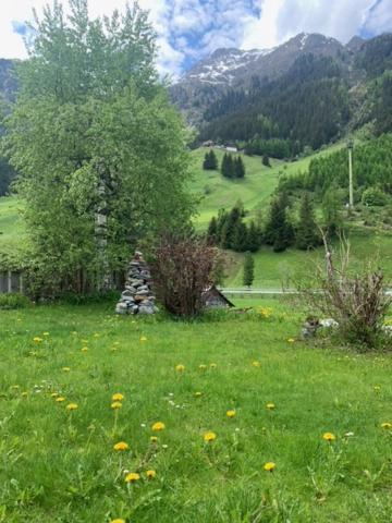 Apartament Haus Bergfrieden